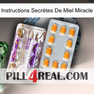 Instructions Secrètes De Miel Miracle new12